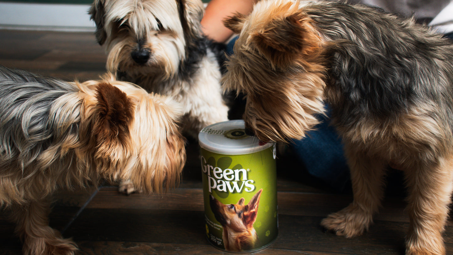 Greenpaws®: Pack de 18