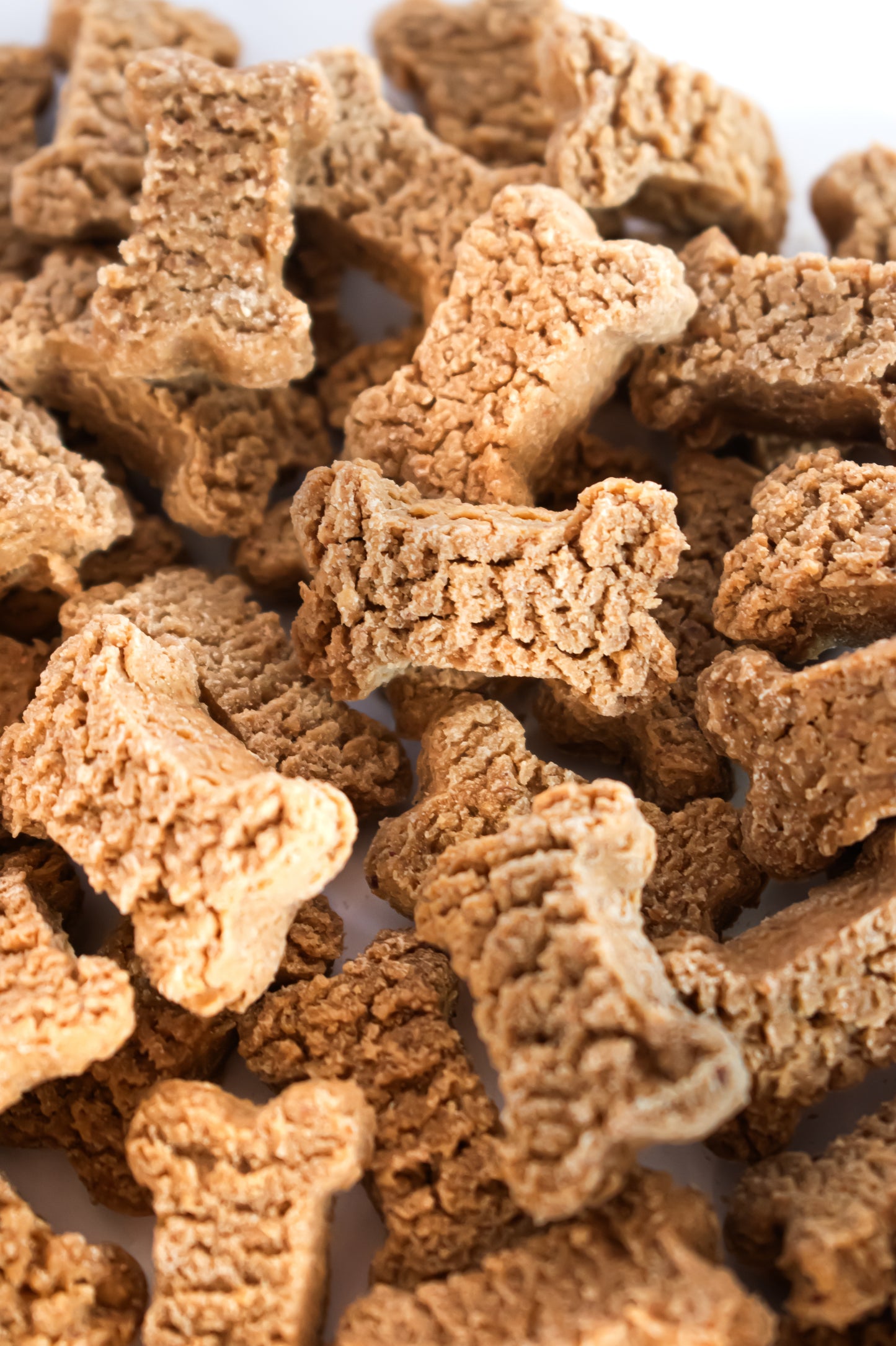 Greenpaws®: Pack de 12